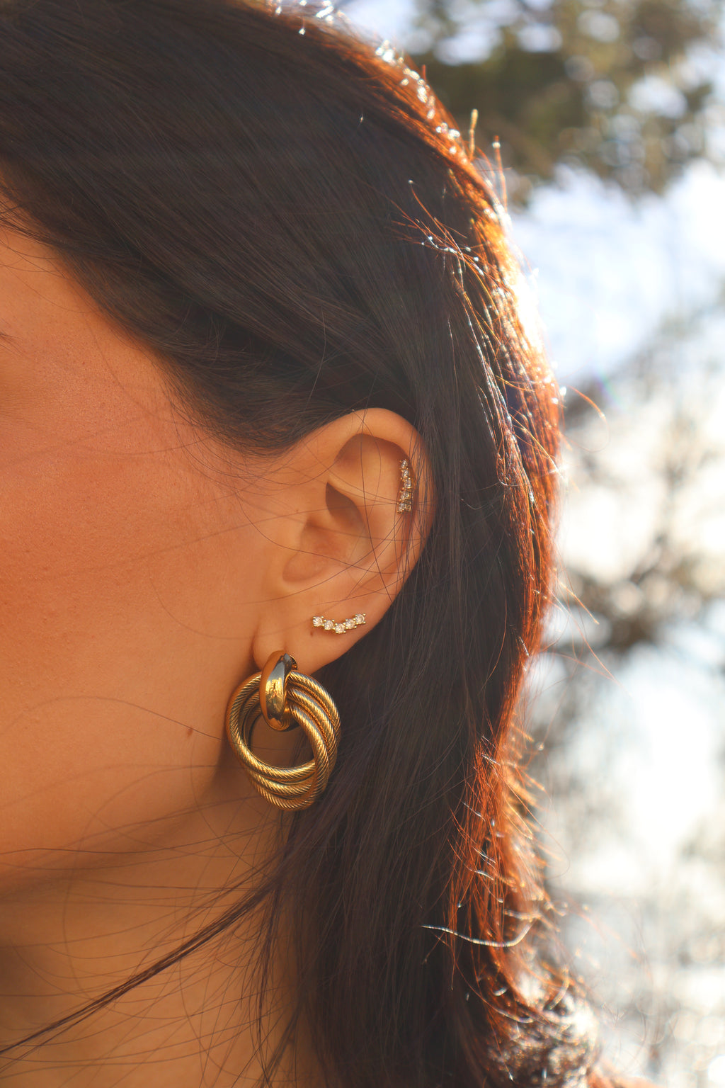 Linked Circles Earrings