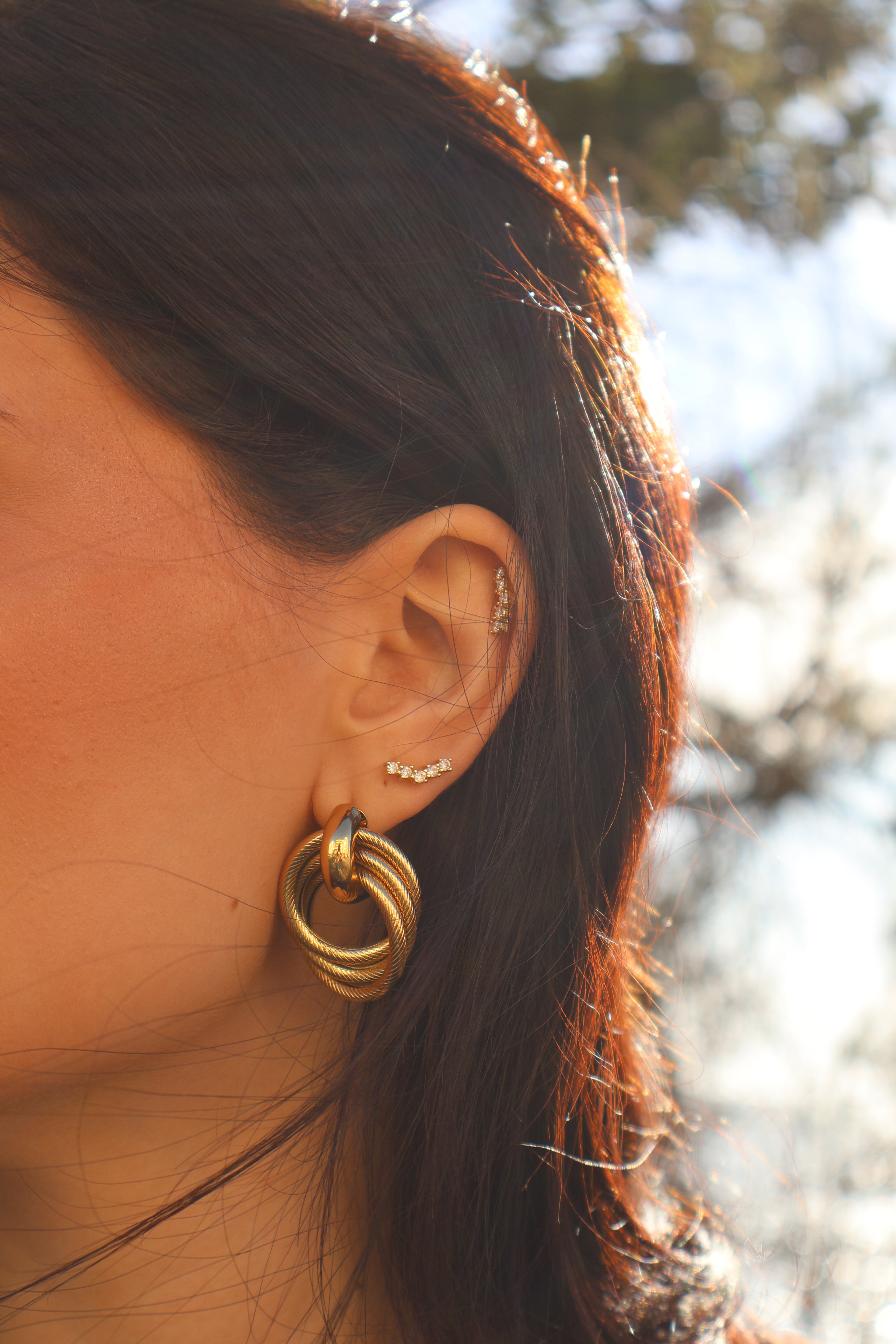 Linked Circles Earrings